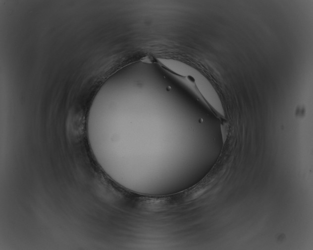 X0000091170081200708301204