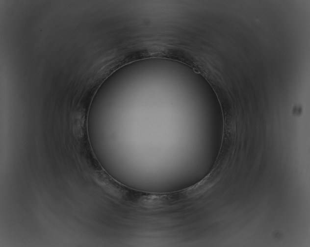 X0000091170082200708301204