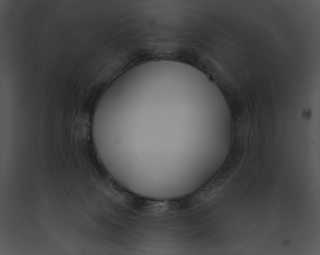 X0000091170083200708301204