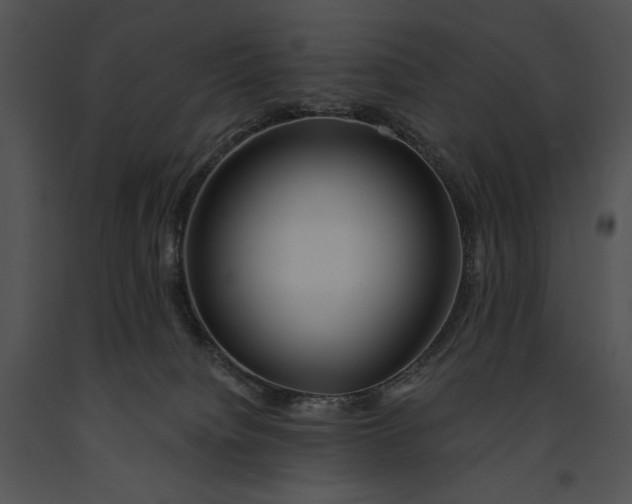 X0000091170084200708301204