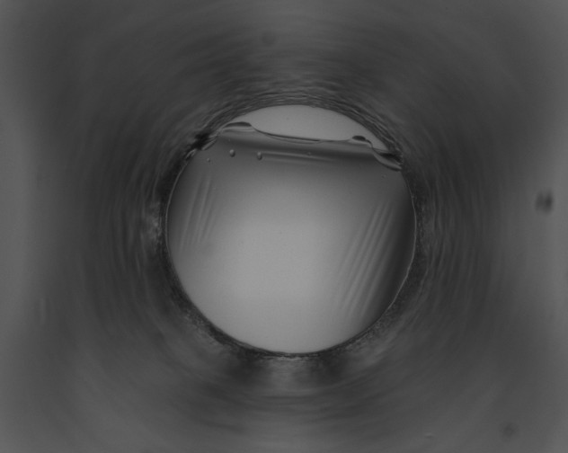 X0000091170085200708301204