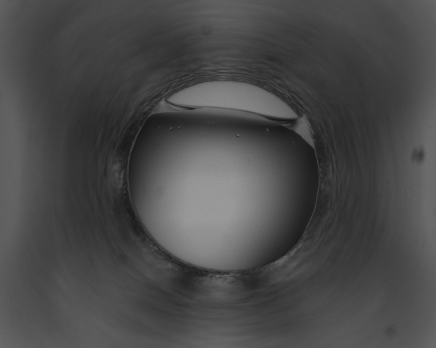 X0000091170086200708301204