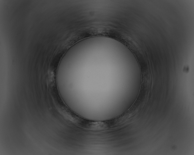 X0000091170087200708301204