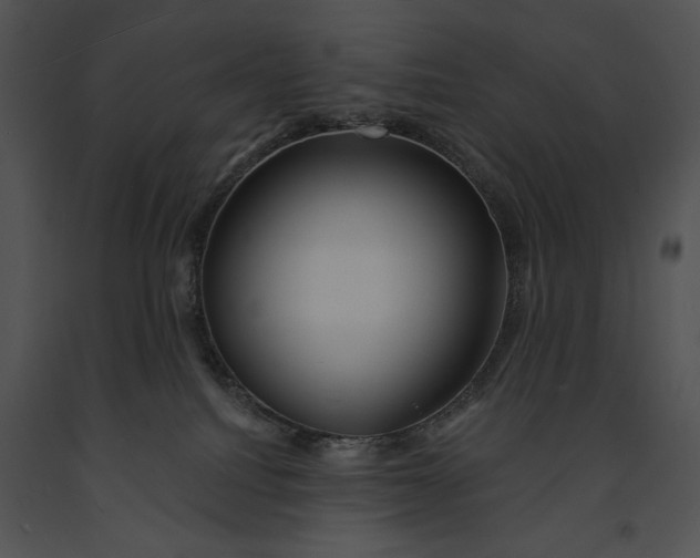 X0000091170088200708301204