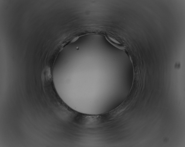 X0000091170089200708301204