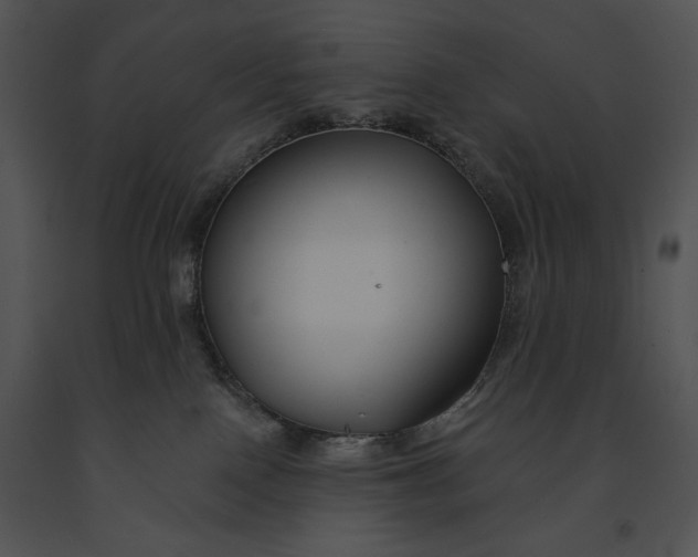 X0000091170090200708301204