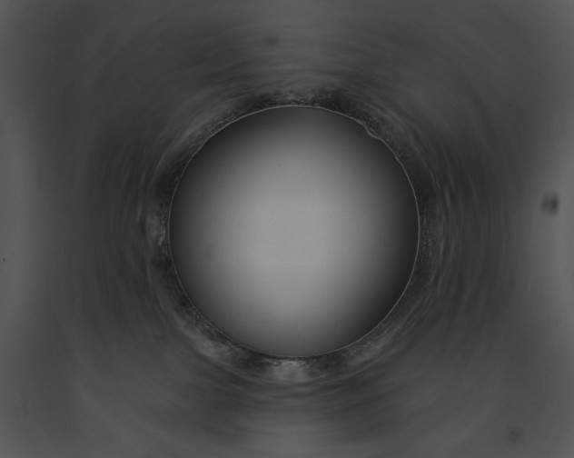 X0000091170091200708301204