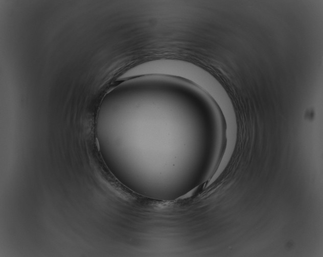 X0000091170092200708301204