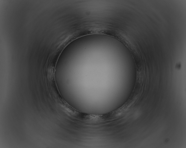 X0000091170093200708301204