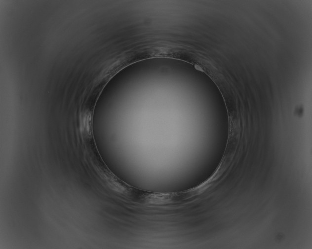 X0000091170094200708301204