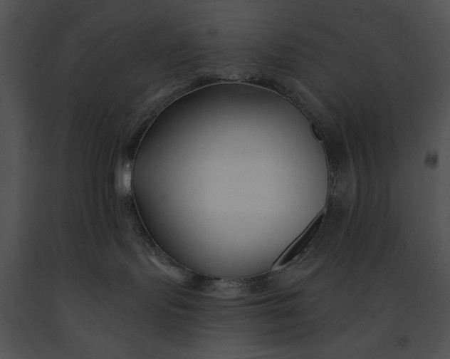 X0000091170095200708301204