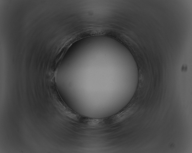 X0000091170096200708301204