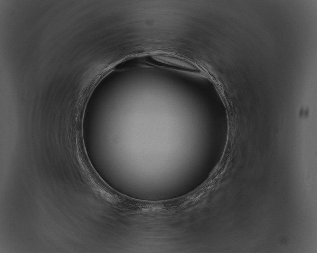 X0000091170097200708301203