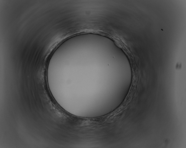 X0000091170098200708301203