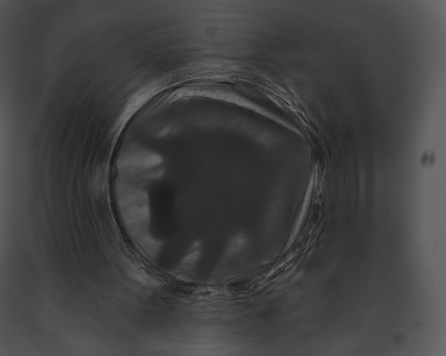 X0000091170099200708301203