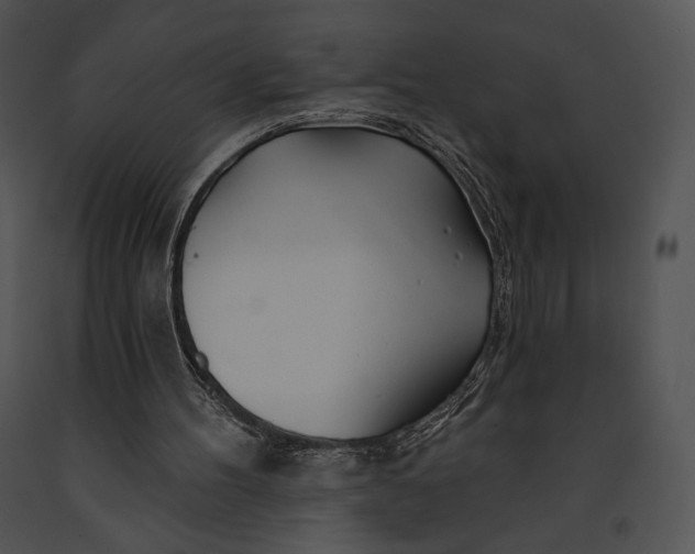 X0000091170100200708301203