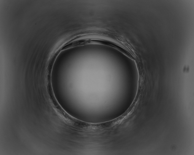 X0000091170101200708301203