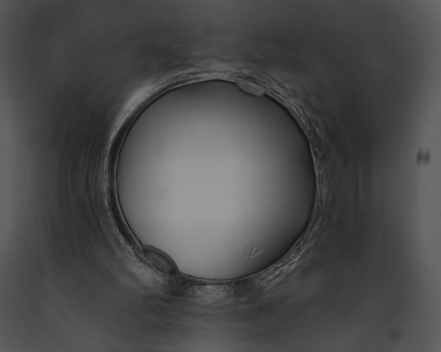 X0000091170102200708301203