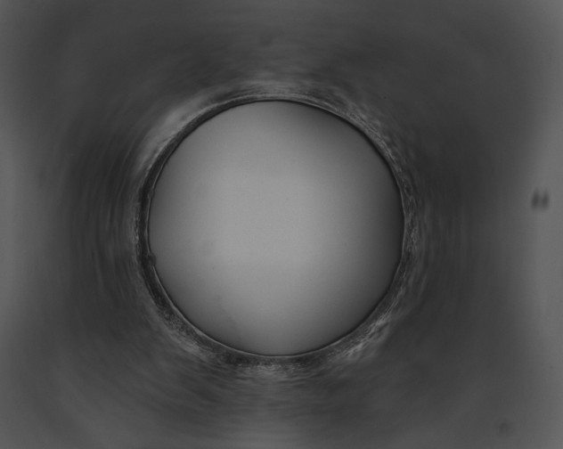 X0000091170103200708301203