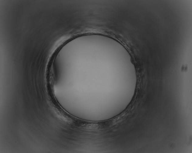 X0000091170104200708301203