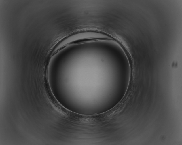 X0000091170105200708301203