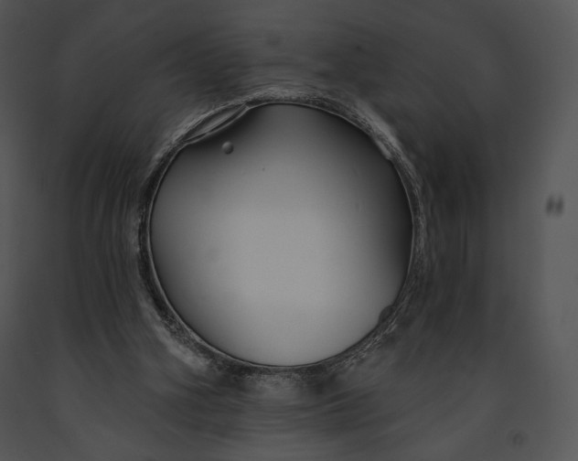 X0000091170106200708301203