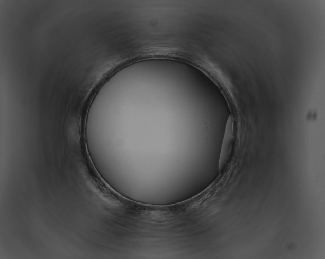 X0000091170107200708301203