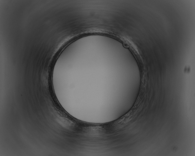 X0000091170108200708301203