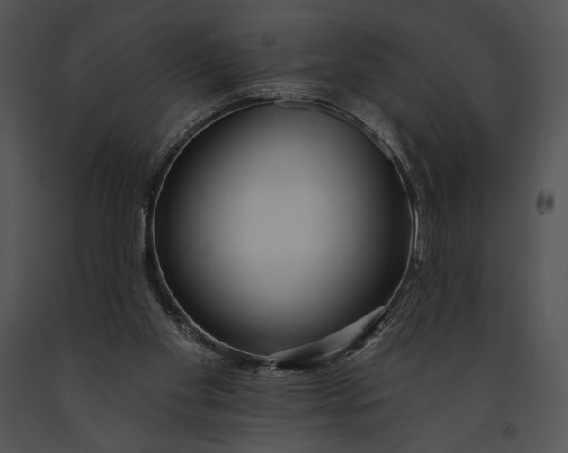 X0000091170109200708301203