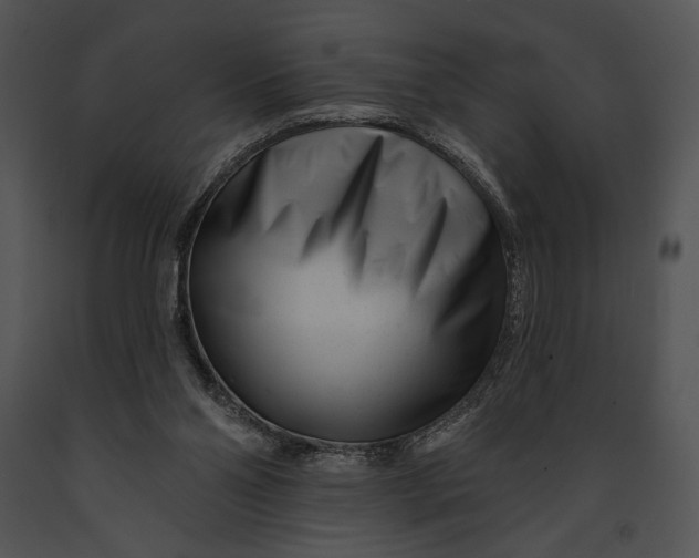 X0000091170110200708301203