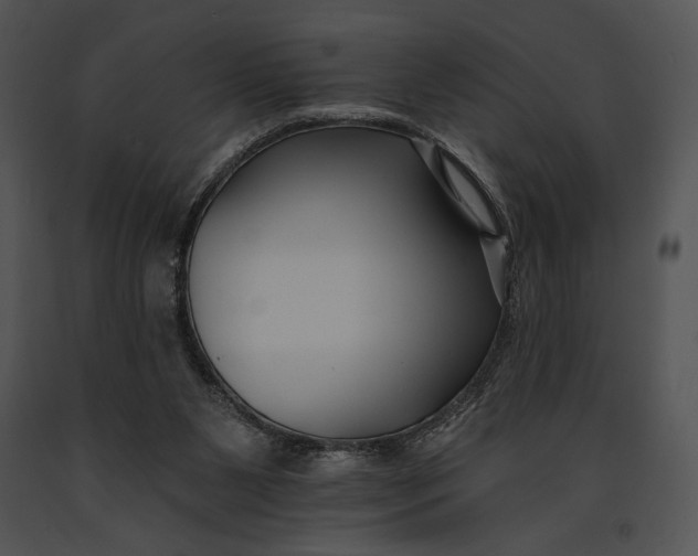 X0000091170111200708301203