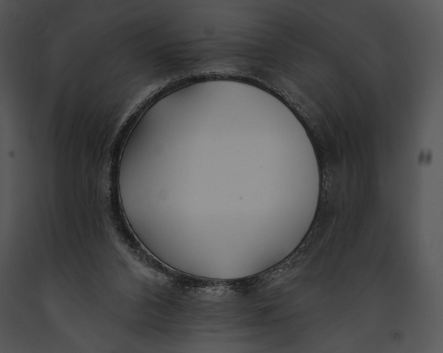 X0000091170112200708301203