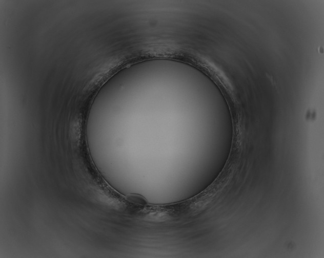 X0000091170113200708301203