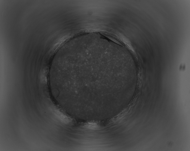 X0000091170114200708301203