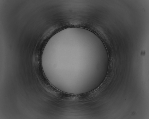 X0000091170116200708301203