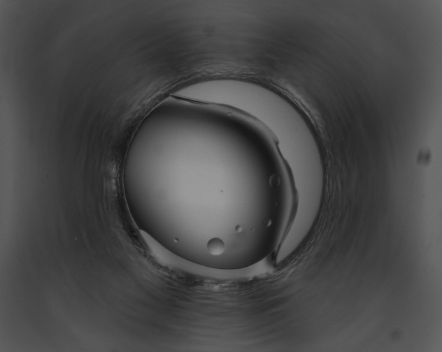 X0000091170117200708301203