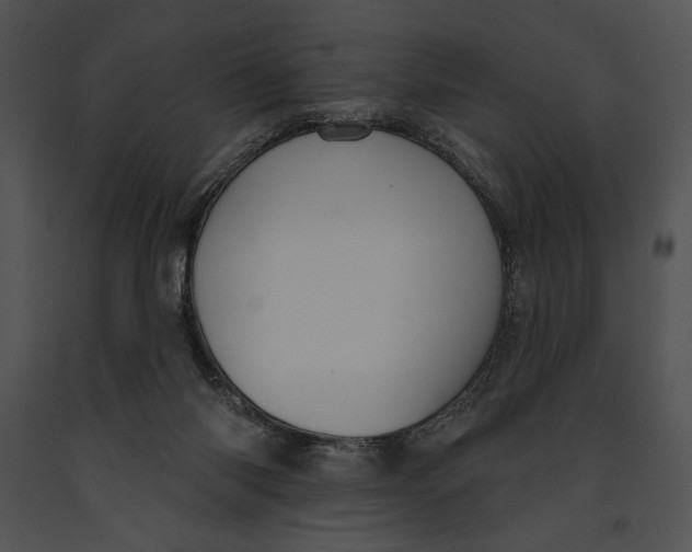 X0000091170118200708301203