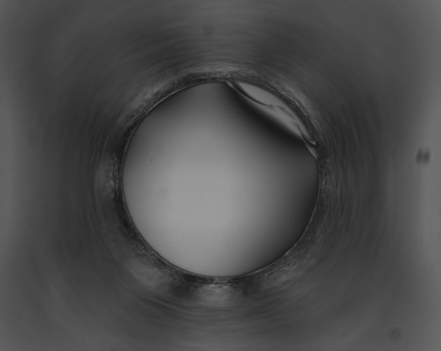 X0000091170119200708301203