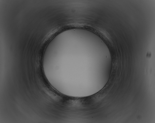 X0000091170120200708301203