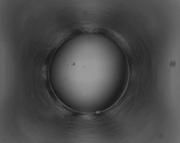 X0000091170121200708301203