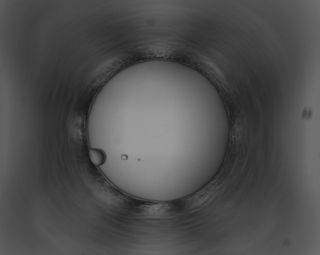 X0000091170122200708301203