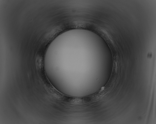 X0000091170123200708301203