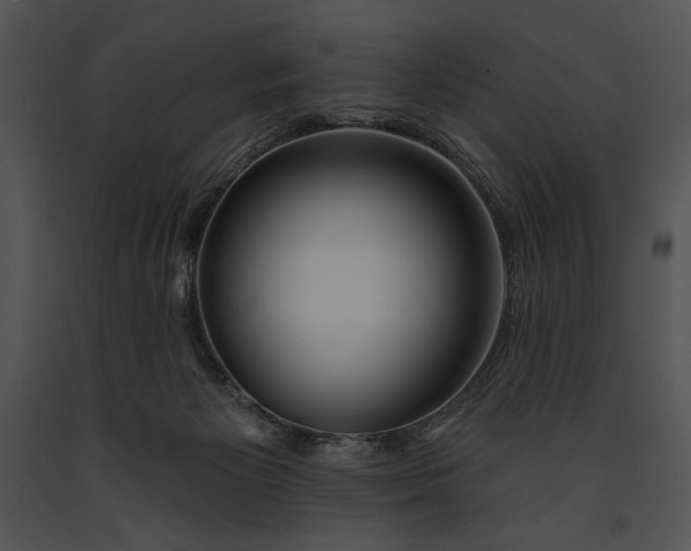 X0000091170125200708301203