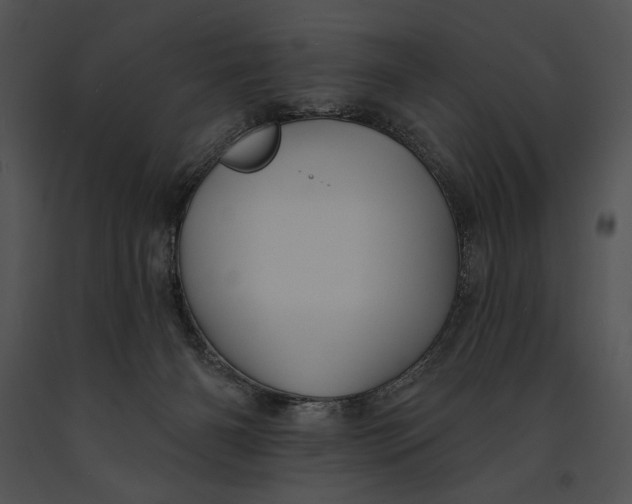 X0000091170126200708301203