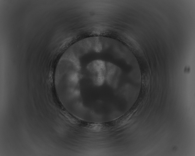 X0000091170127200708301203