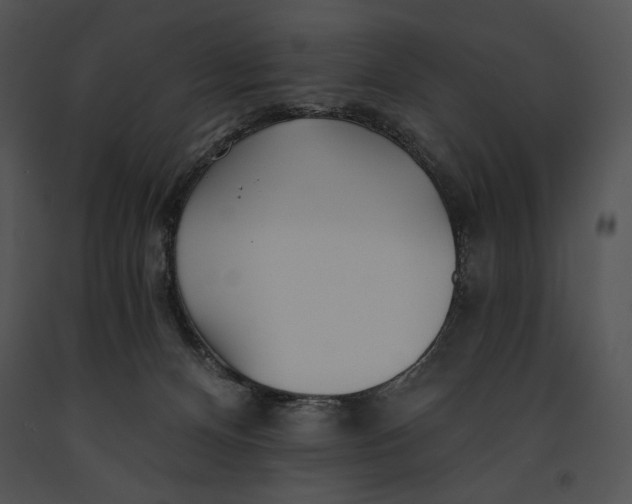 X0000091170128200708301203