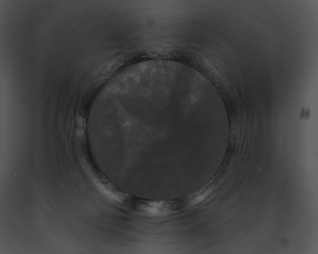 X0000091170130200708301203