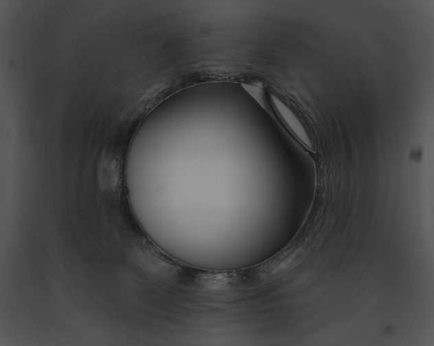 X0000091170131200708301203