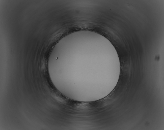 X0000091170132200708301203