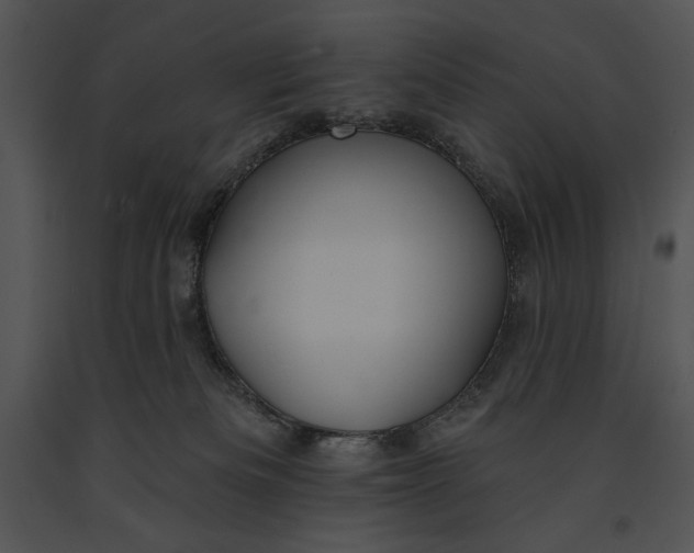 X0000091170133200708301203